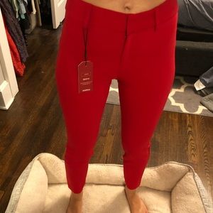 Express Work/ Dress Pants